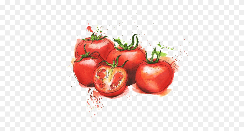 Tomato Sauce Watercolor, Food, Plant, Produce, Vegetable Png