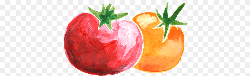 Tomato Sketch026 Tomato, Food, Plant, Produce, Vegetable Free Png