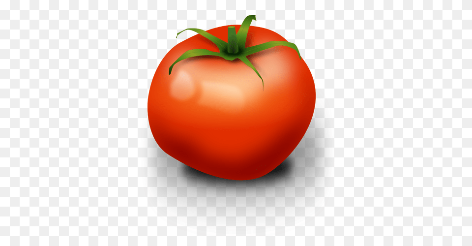 Tomato Slice Clip Art, Vegetable, Produce, Plant, Food Free Png Download