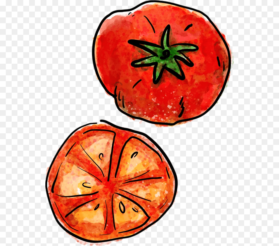 Tomato Tomatoes Sticker By Heirloom Tomato Draw, Food, Fruit, Produce, Plant Png