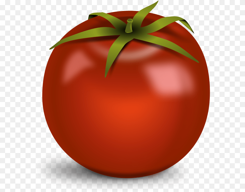 Tomato Transparent Bridge Of Palanga, Food, Plant, Produce, Vegetable Png Image