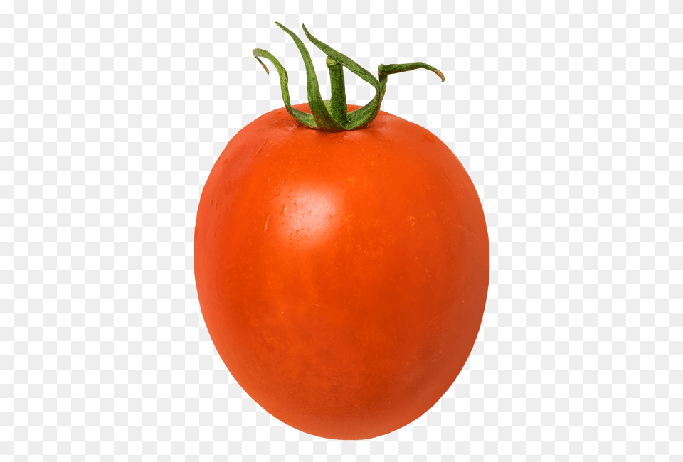 Tomato Transparent Image, Vegetable, Food, Produce, Plant Free Png