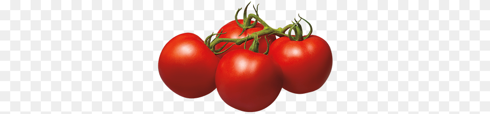 Tomato Transparent Images, Food, Plant, Produce, Vegetable Free Png