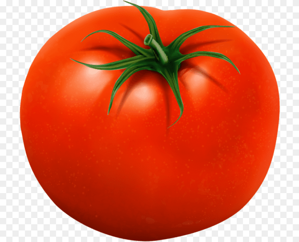 Tomato Transparent Tomato And Onion Clipart, Food, Plant, Produce, Vegetable Png Image