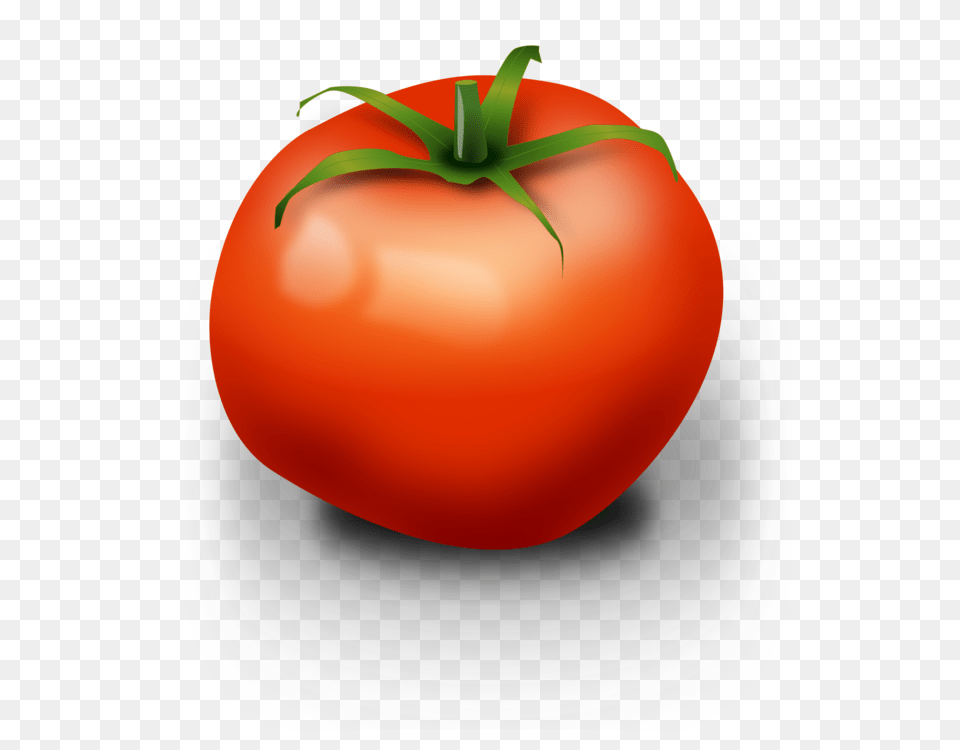 Tomato Vegetable Fruit Computer Icons Onion, Food, Plant, Produce Free Png