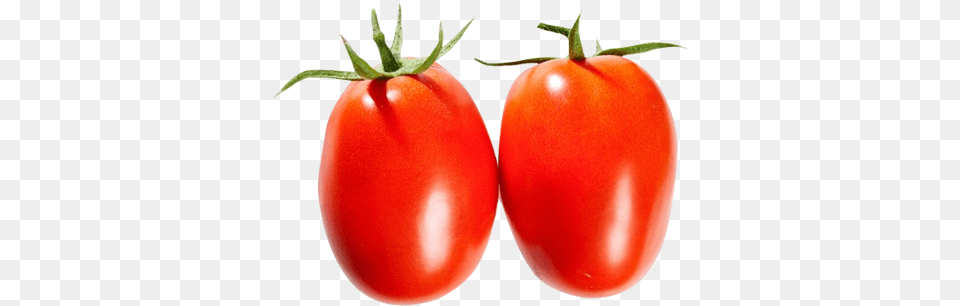 Tomatoe Fresco Farms, Food, Plant, Produce, Tomato Free Png Download