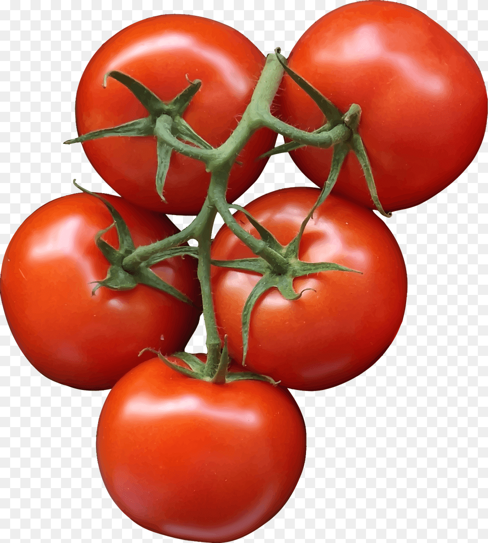 Tomatoes, Food, Plant, Produce, Tomato Png