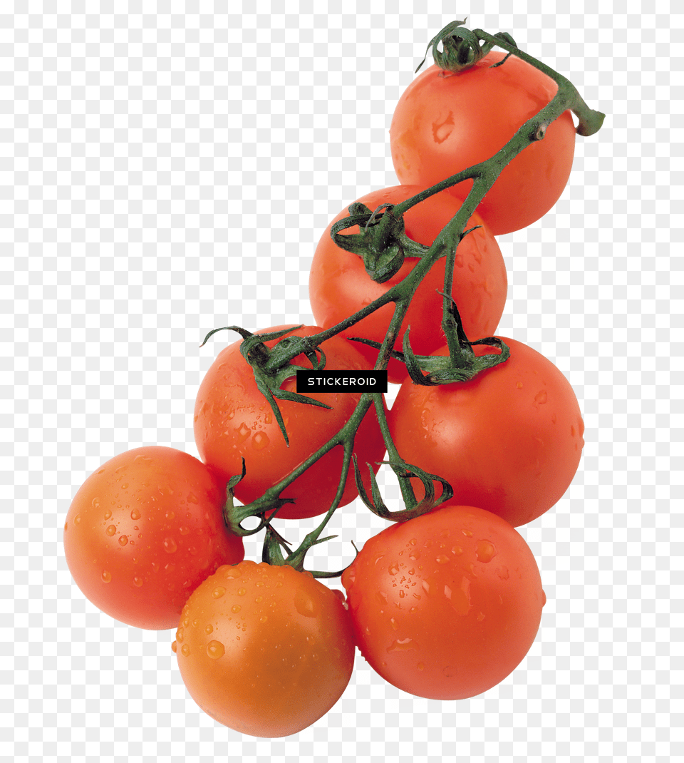 Tomatoes, Spiral, Coil, Accessories Free Png