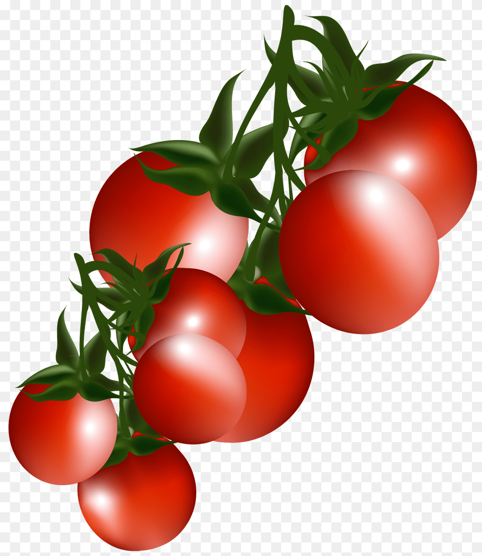 Tomatoes Branch Clipart, Food, Plant, Produce, Tomato Free Png