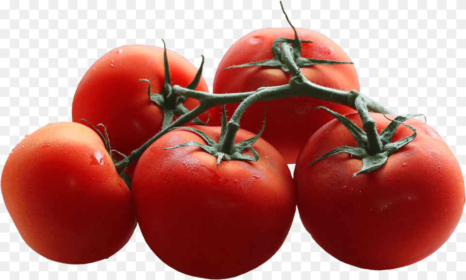 Tomatoes Branch Picture Tomato Transparent Background, Food, Plant, Produce, Vegetable Free Png