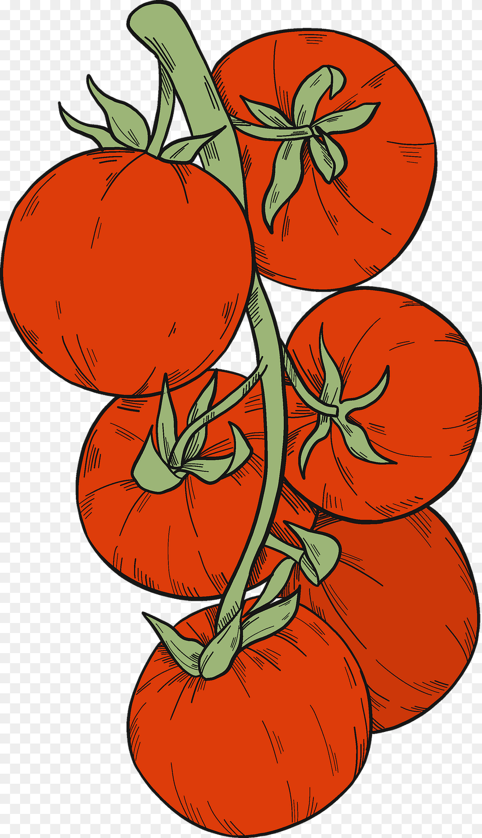 Tomatoes Clipart, Food, Plant, Produce, Tomato Free Png