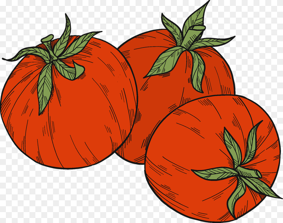 Tomatoes Clipart, Food, Plant, Produce, Tomato Free Transparent Png