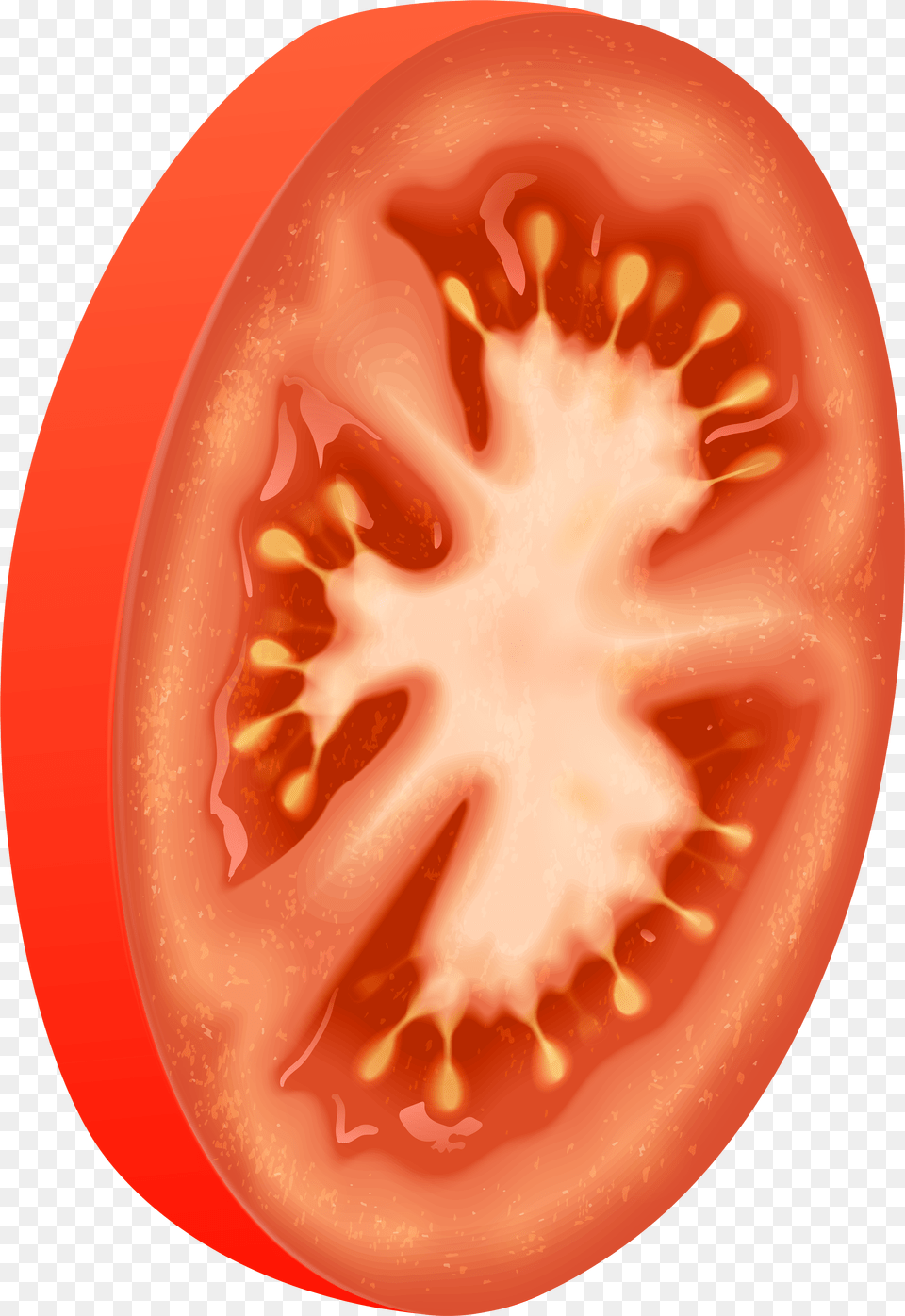 Tomatoes Clipart Circle Transparent Circle Tomatoes Png