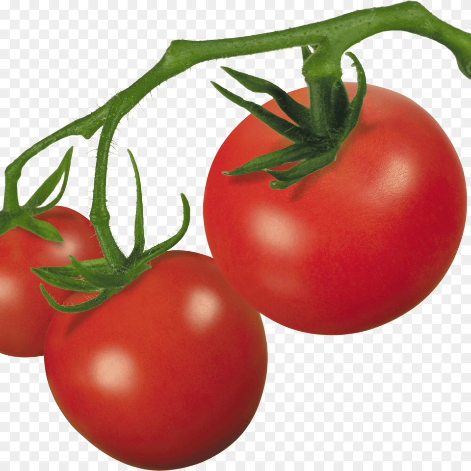 Tomatoes Clipart Ripe Cherry Tomato Clip Art, Food, Plant, Produce, Vegetable Free Png