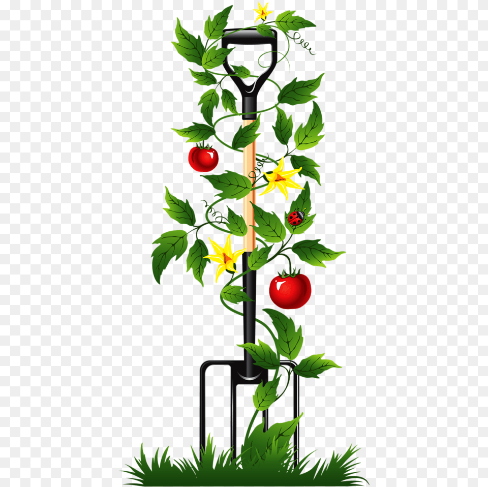 Tomatoes Clipart Tomato Tree Poem For Gardeners Funeral, Plant, Green, Grass Png