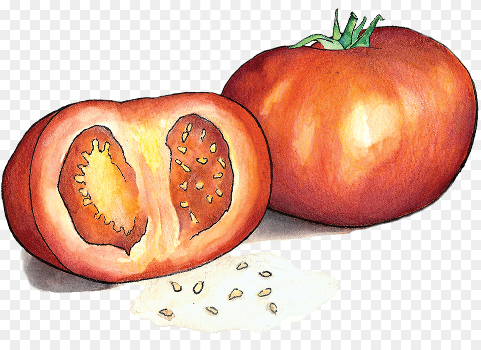 Tomatoes Food, Plant, Produce, Tomato, Vegetable Png Image