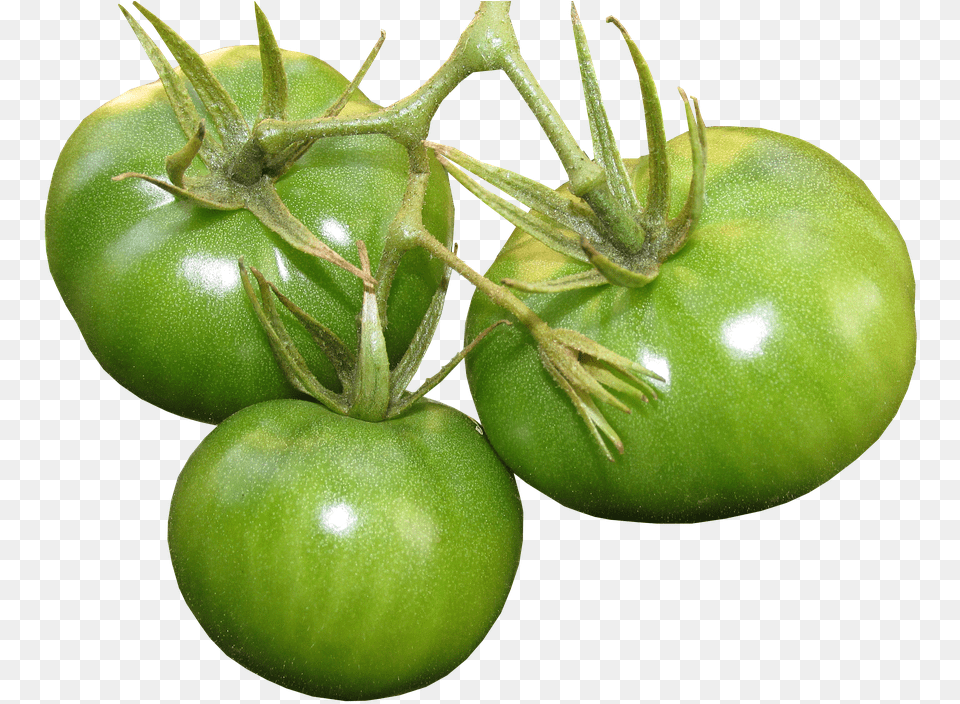 Tomatoes Green Food Vegetables Organic Planta De Tomate Verde, Plant, Produce, Tomato, Vegetable Png Image