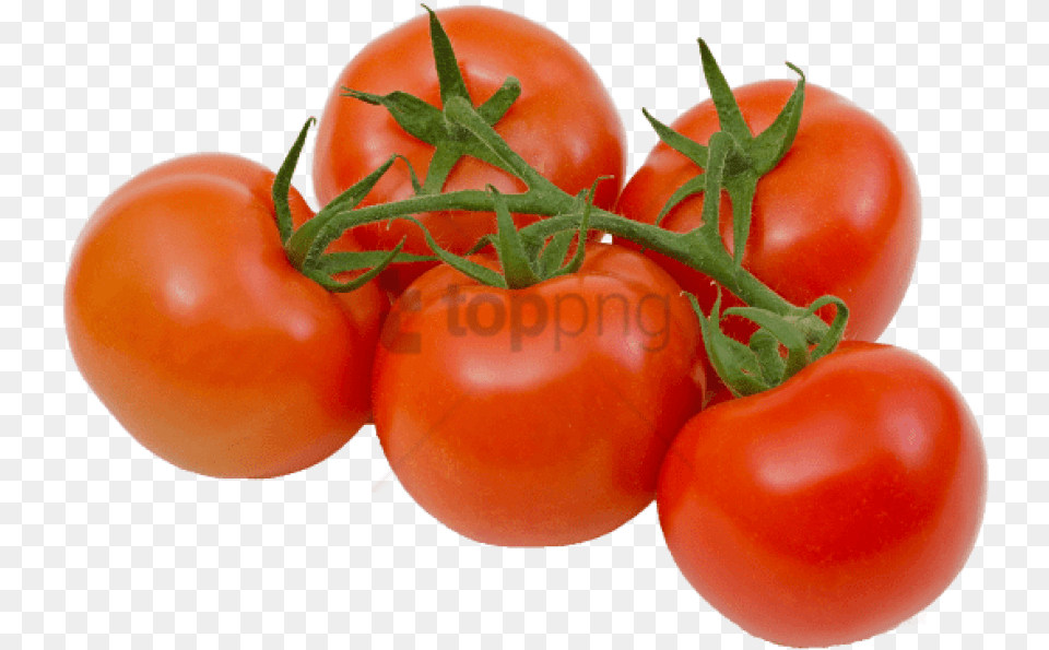Tomatoes On The Vine Image Tomatoes On The Vine, Food, Plant, Produce, Tomato Png