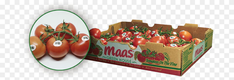 Tomatoes On The Vine Plum Tomato, Food, Plant, Produce, Vegetable Free Png