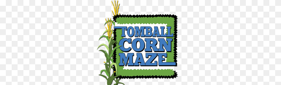 Tomball Corn Maze, Herbs, Plant, Grass, Herbal Png Image