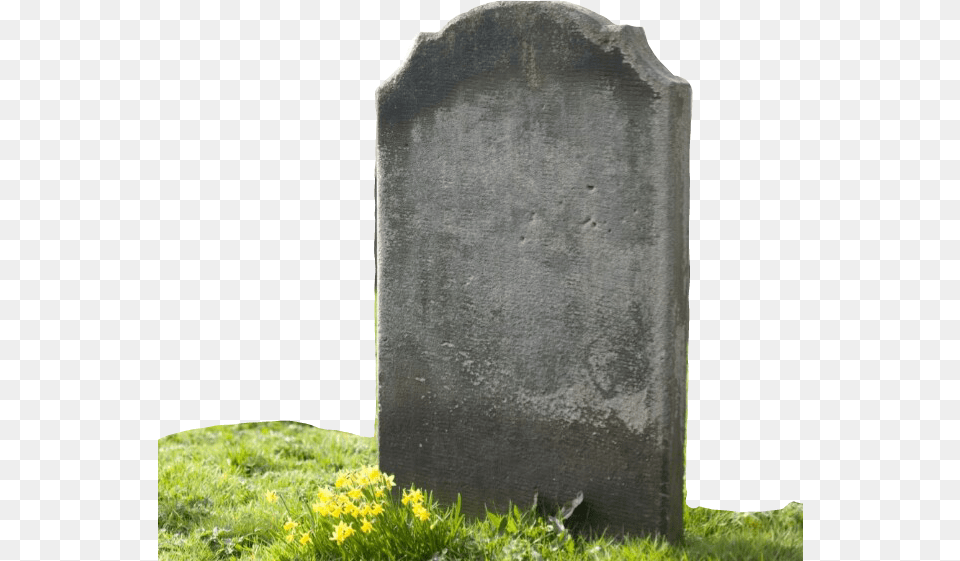 Tombstone Graveyard Image By Alex Rowe Shit Show Grave With Memes, Gravestone, Tomb Free Png Download