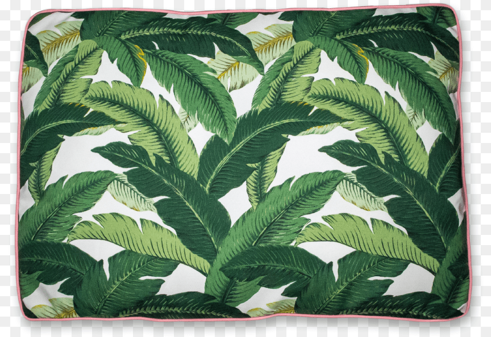 Tommy Bahama Wall Paper, Cushion, Home Decor, Leaf, Pillow Free Png Download