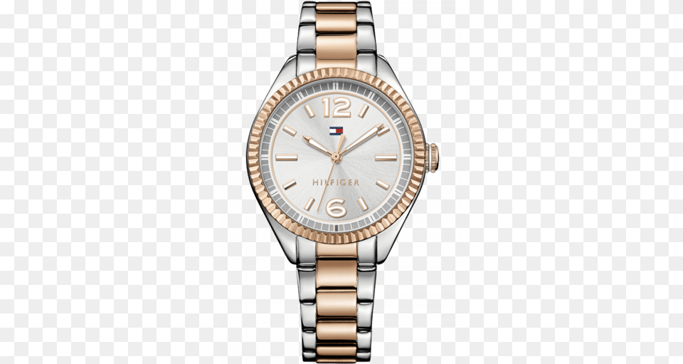 Tommy Hilfiger Watches Ladies Watch Rose Gold Tommy Hilfiger Watches, Arm, Body Part, Person, Wristwatch Free Transparent Png
