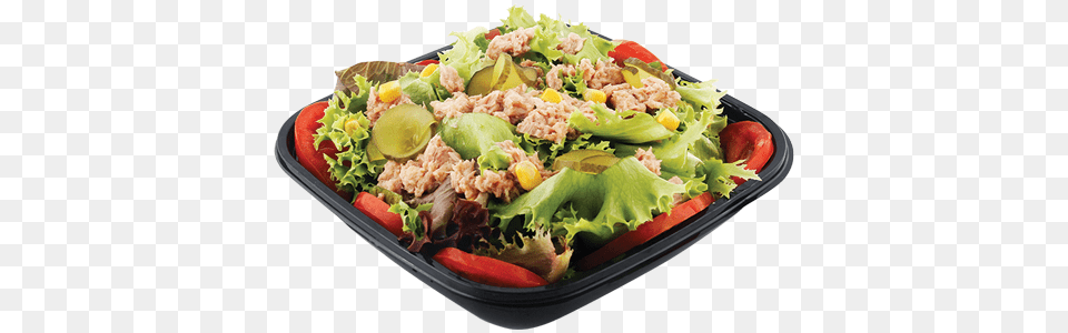 Ton Balkl Salata, Food, Lunch, Meal, Food Presentation Free Png