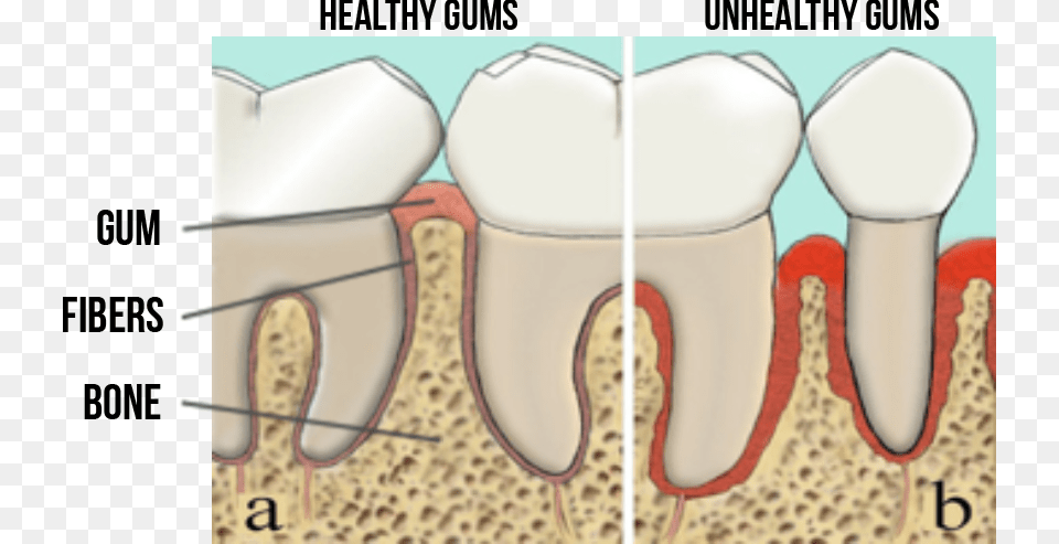 Tongue, Body Part, Mouth, Person, Teeth Png