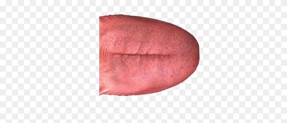 Tongue, Body Part, Person, Mouth, Outdoors Free Png