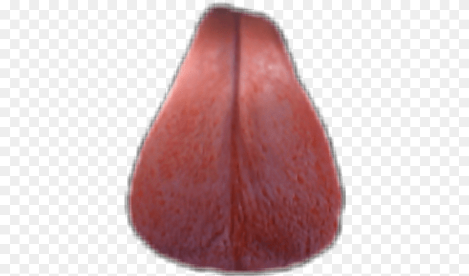 Tongue Snapchat Dogfilterdogefilter Dog Coquelicot, Body Part, Flower, Plant, Mouth Free Png