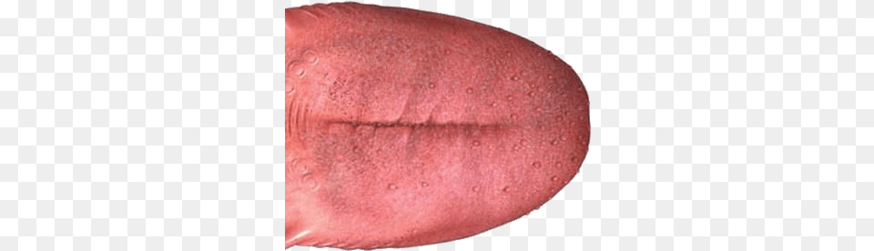 Tongue Tongue, Body Part, Mouth, Person Png Image