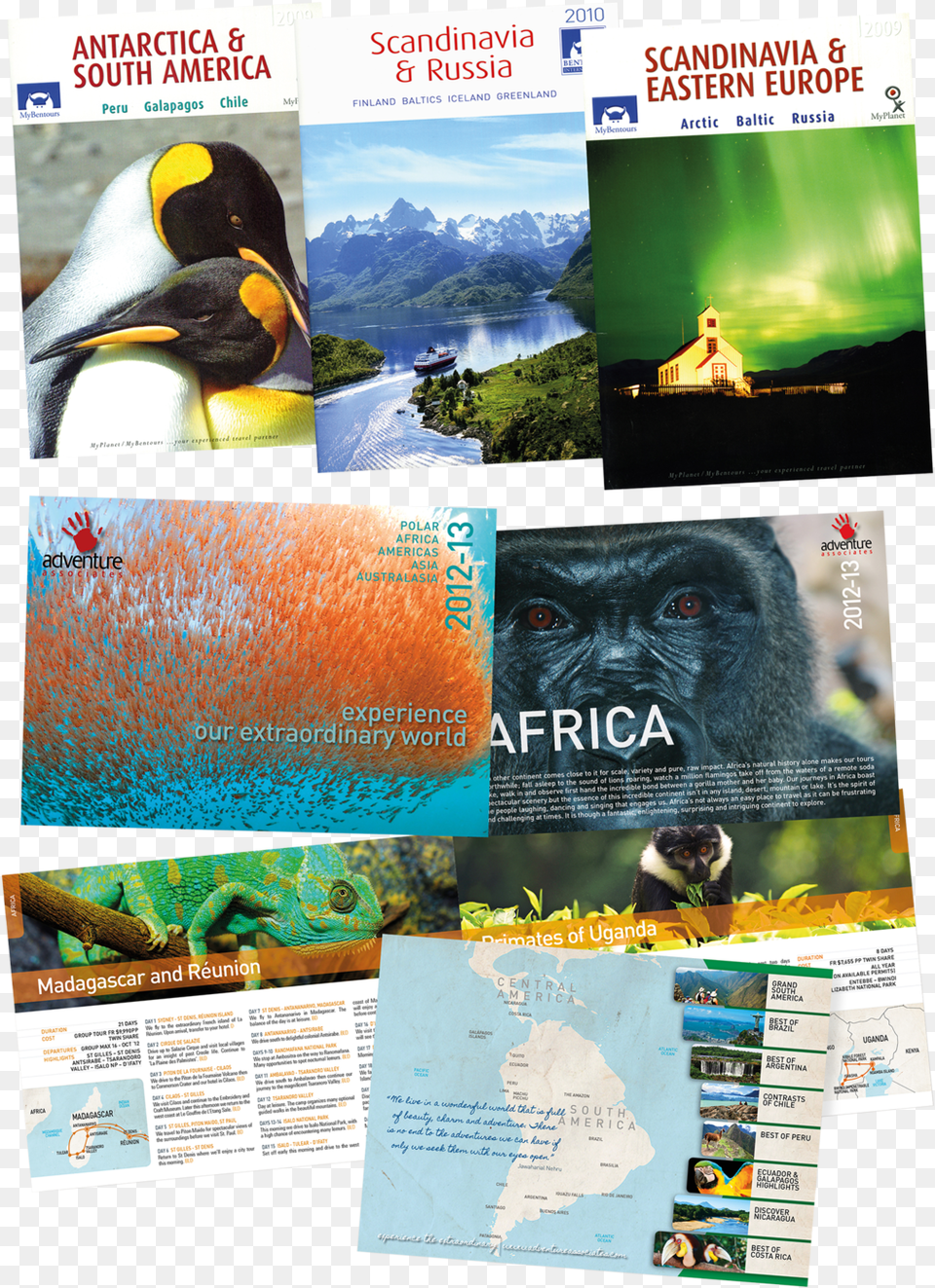 Tony Gordon Printcounsel Brochures Bentours Adventure Flyer, Advertisement, Poster, Animal, Bird Free Png Download