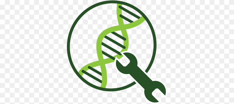 Tools And Techniques Of Gene Manipulation Genetic Tools, Smoke Pipe Png Image