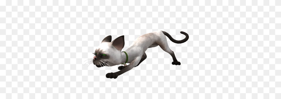 Toon Animal, Canine, Dog, Mammal Png