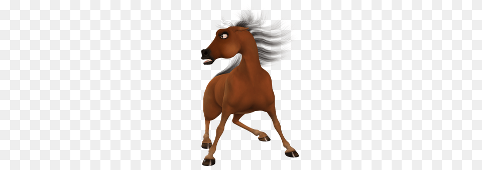 Toon Animal, Colt Horse, Horse, Mammal Free Png Download
