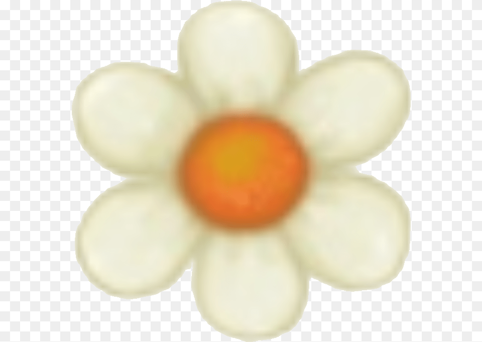 Toontown Artificial Flower, Anemone, Plant, Petal, Daisy Free Png