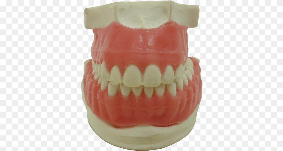 Tooth, Teeth, Body Part, Person, Mouth Png