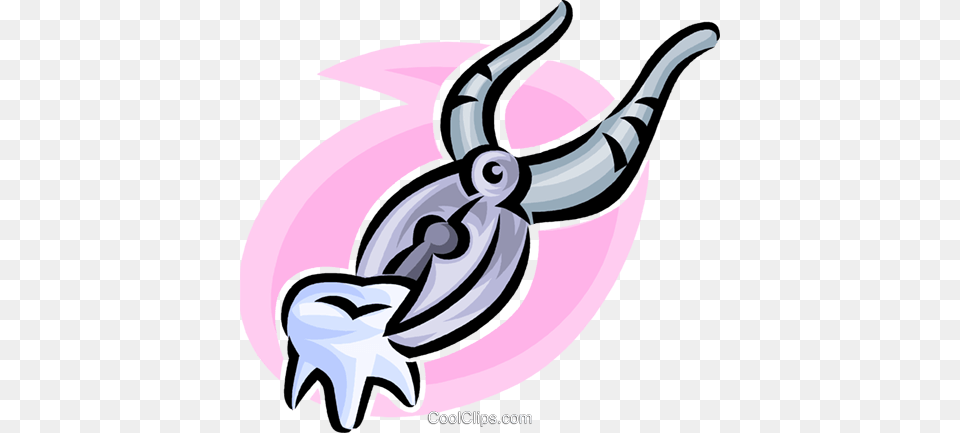 Tooth And A Pair Of Pliers Royalty Vector Clip Art, Animal, Mammal, Kangaroo, Hardware Free Transparent Png