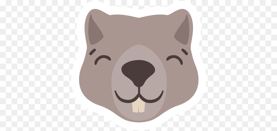 Tooth Beaver Head Flat Sticker Cartoon, Snout, Baby, Person, Face Free Transparent Png