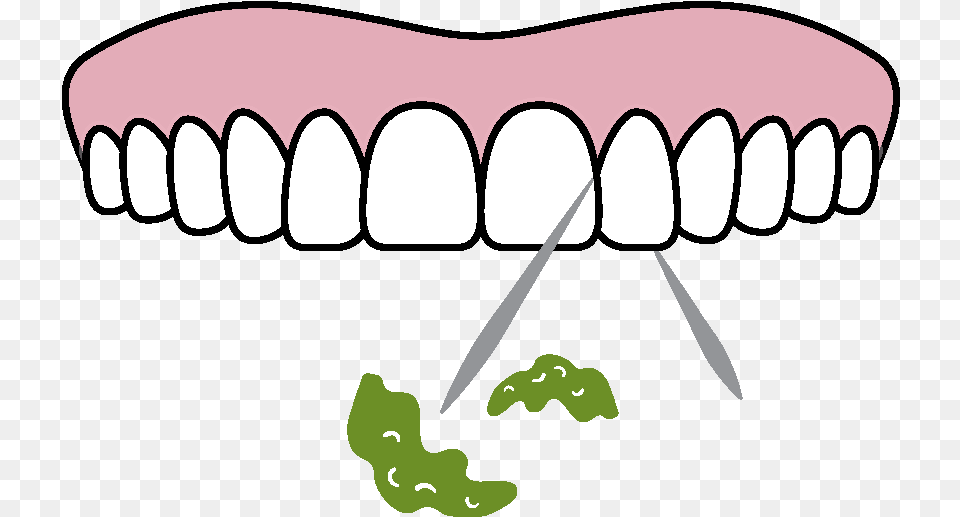Tooth Brushing And Home Hygiene Canine Tooth, Body Part, Mouth, Person, Teeth Png Image