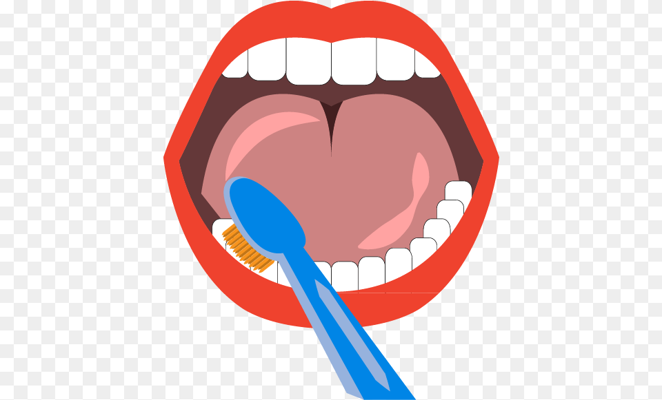 Tooth Brushing Teeth Cleaning Mouth Euclidean Vector, Body Part, Brush, Device, Person Free Png Download