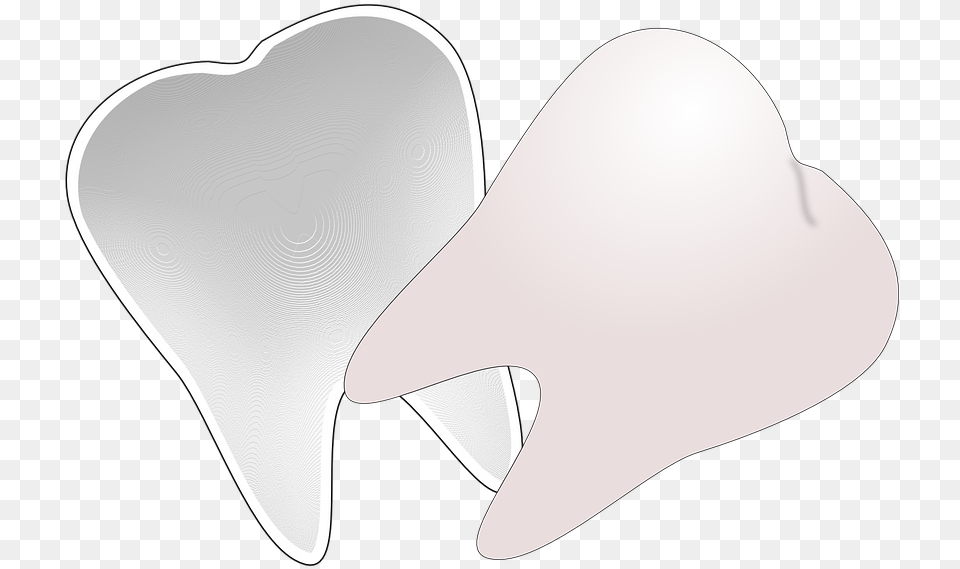 Tooth Clip Art, Animal, Sea Life, Heart, Clothing Free Transparent Png