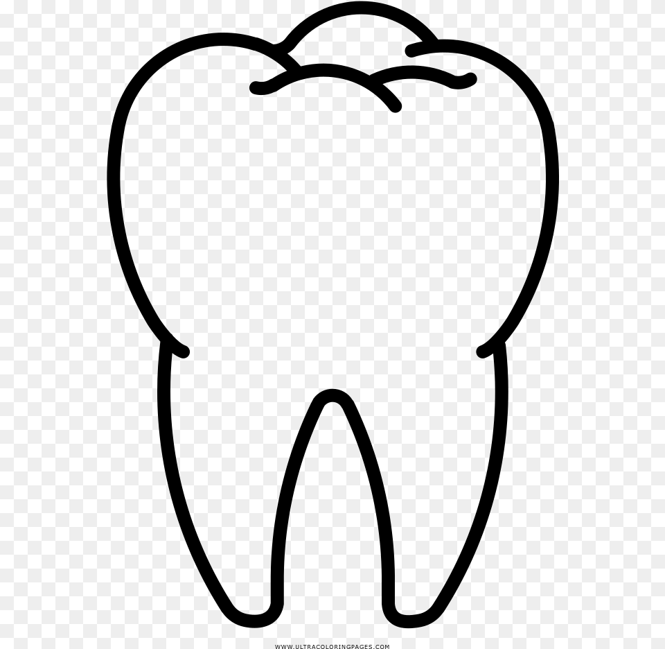 Tooth Coloring, Gray Png Image