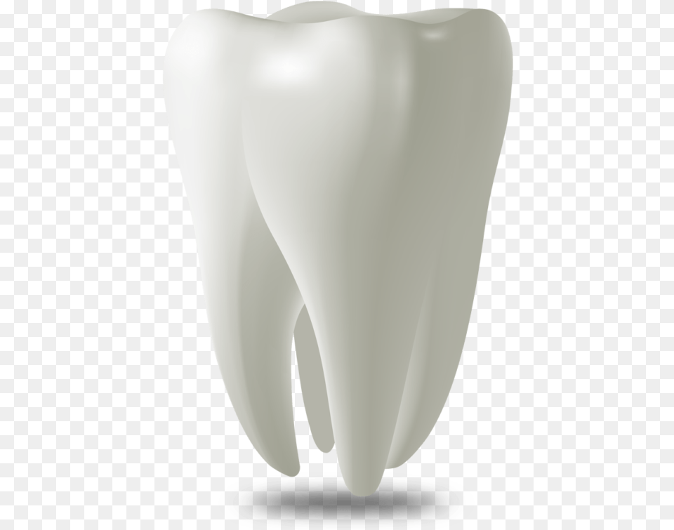 Tooth Model West Palm Beach Fl Wisdom Tooth, Body Part, Mouth, Person, Teeth Png