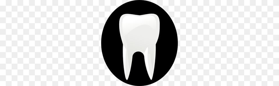 Tooth Molar Clip Art For Web, Cushion, Home Decor, Logo, Blade Free Transparent Png