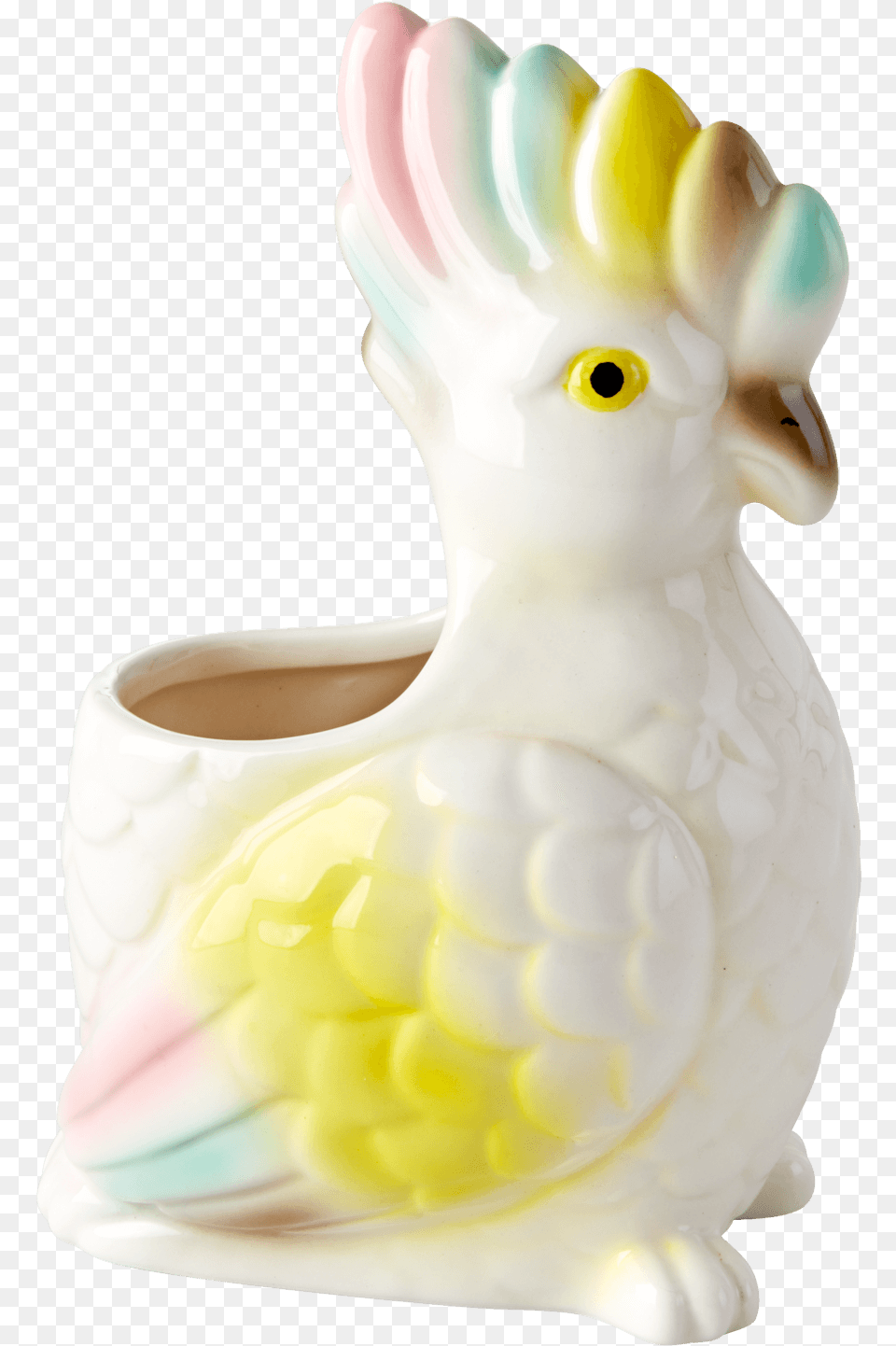 Toothbrush, Animal, Bird, Parrot, Cockatoo Free Png