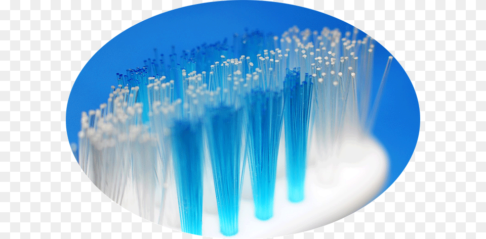 Toothbrush Bristle, Brush, Device, Tool Free Png Download