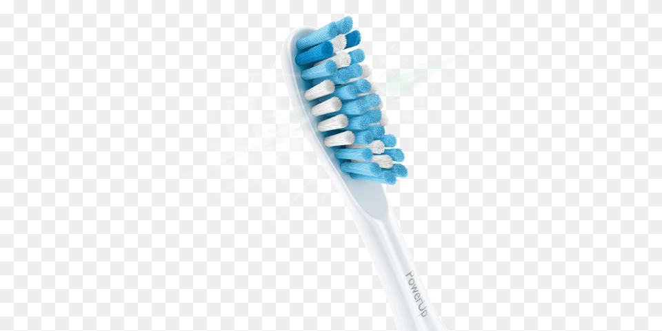 Toothbrush Head Of A Toothbrush, Brush, Device, Tool Free Transparent Png