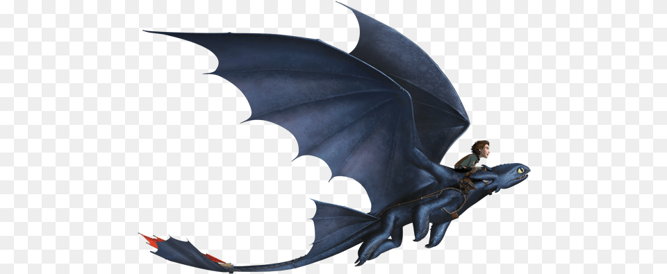 Toothless Dragon 3 Image Train Your Dragon Toothless Body, Person, Animal, Fish, Sea Life Free Transparent Png